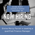 Now Hiring - Finance Manager