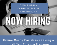 Now Hiring - Finance Manager